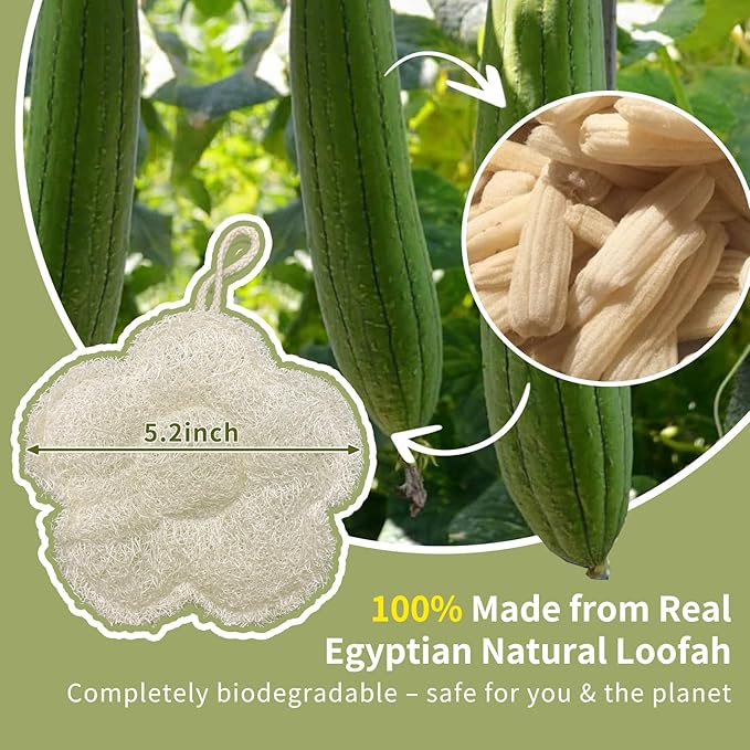 Travel Loofah Made from Real Egyptian Shower Loofah Spong Natural,Rough,Exfoliating,Quick-Drying,Lightweight,Rich Foam,Designed for Travel Convenient to Pack and Carry(2pack)